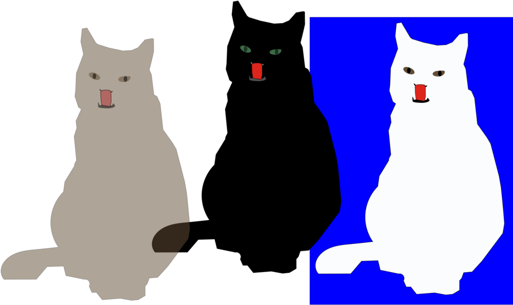 Whiskers Black Cat Kitten Paw - Cat (1000x750), Png Download