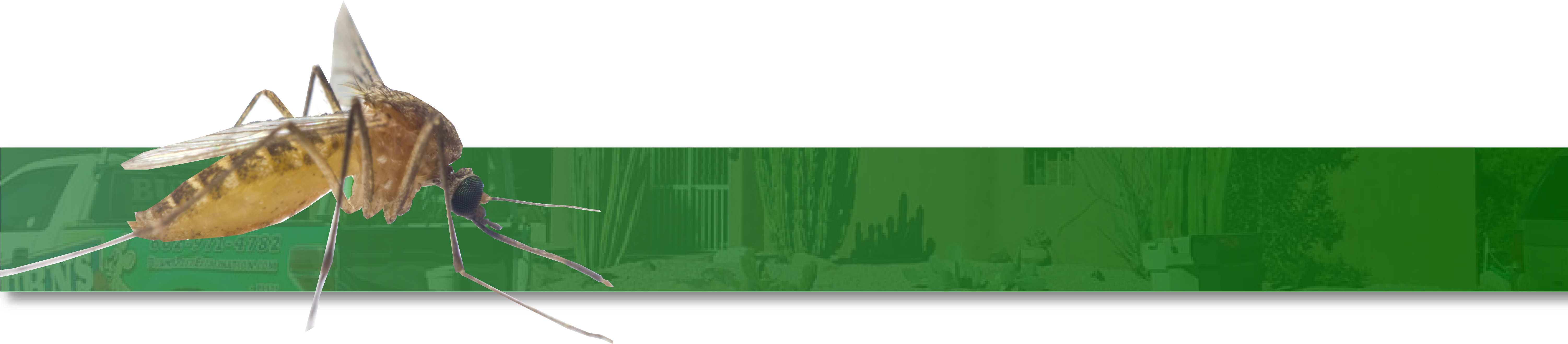 Mosquitoes - Ski Jumping (6003x1685), Png Download