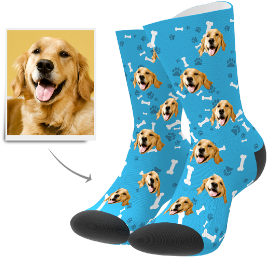 Custom Dog Socks - Toe Socks With Dog Faces (600x600), Png Download