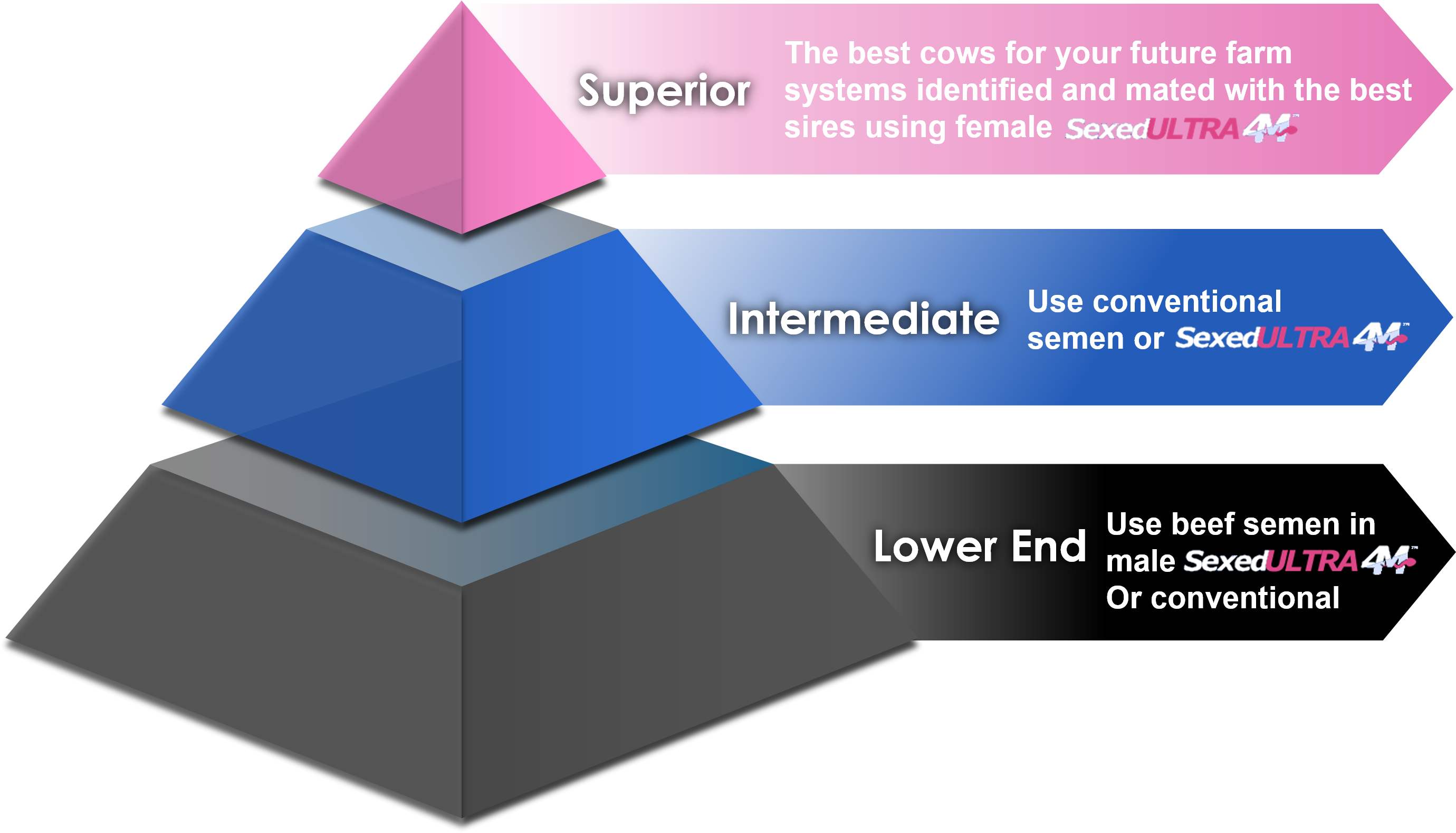 Breeding Calculator - Bull Sexed Semen (2767x1586), Png Download