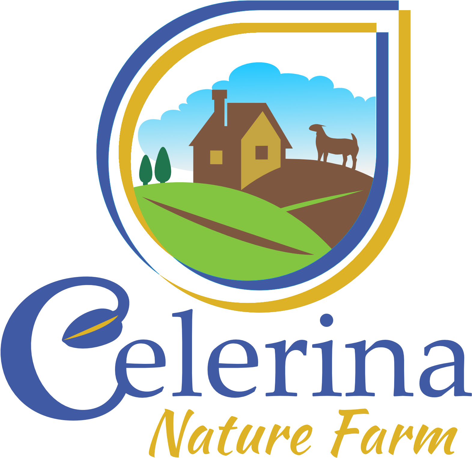 Candid Camera (2362x2362), Png Download