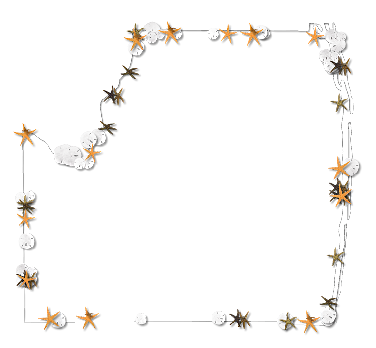 A Map Of Palm Beach With A Thin Black Outline, Inner (768x710), Png Download