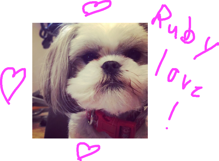 Background Scene - Image - Chinese Imperial Dog (760x558), Png Download