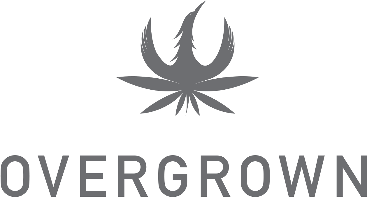 Overgrown Cannabis - Graphic Design (1500x767), Png Download