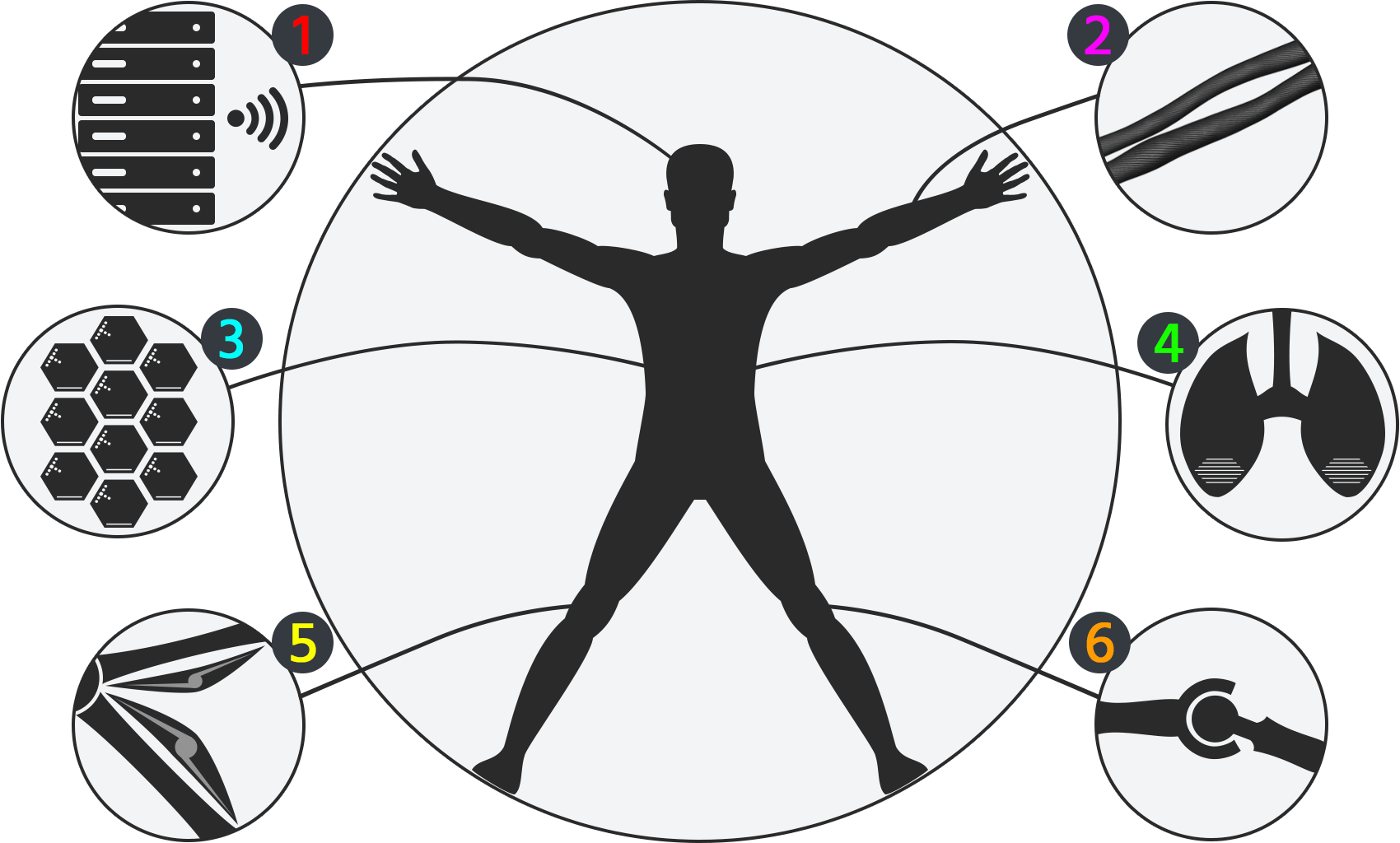 Sharpie's Body Structure - Modern Vitruvian Man Logo (1700x1024), Png Download