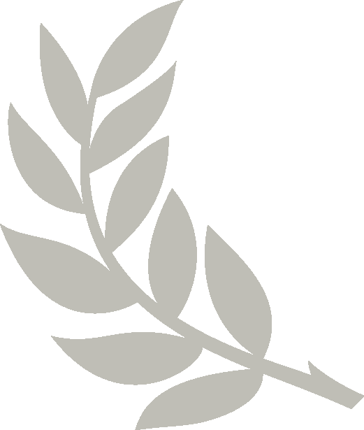 Neohel Publications - Olive Branch Png (521x615), Png Download