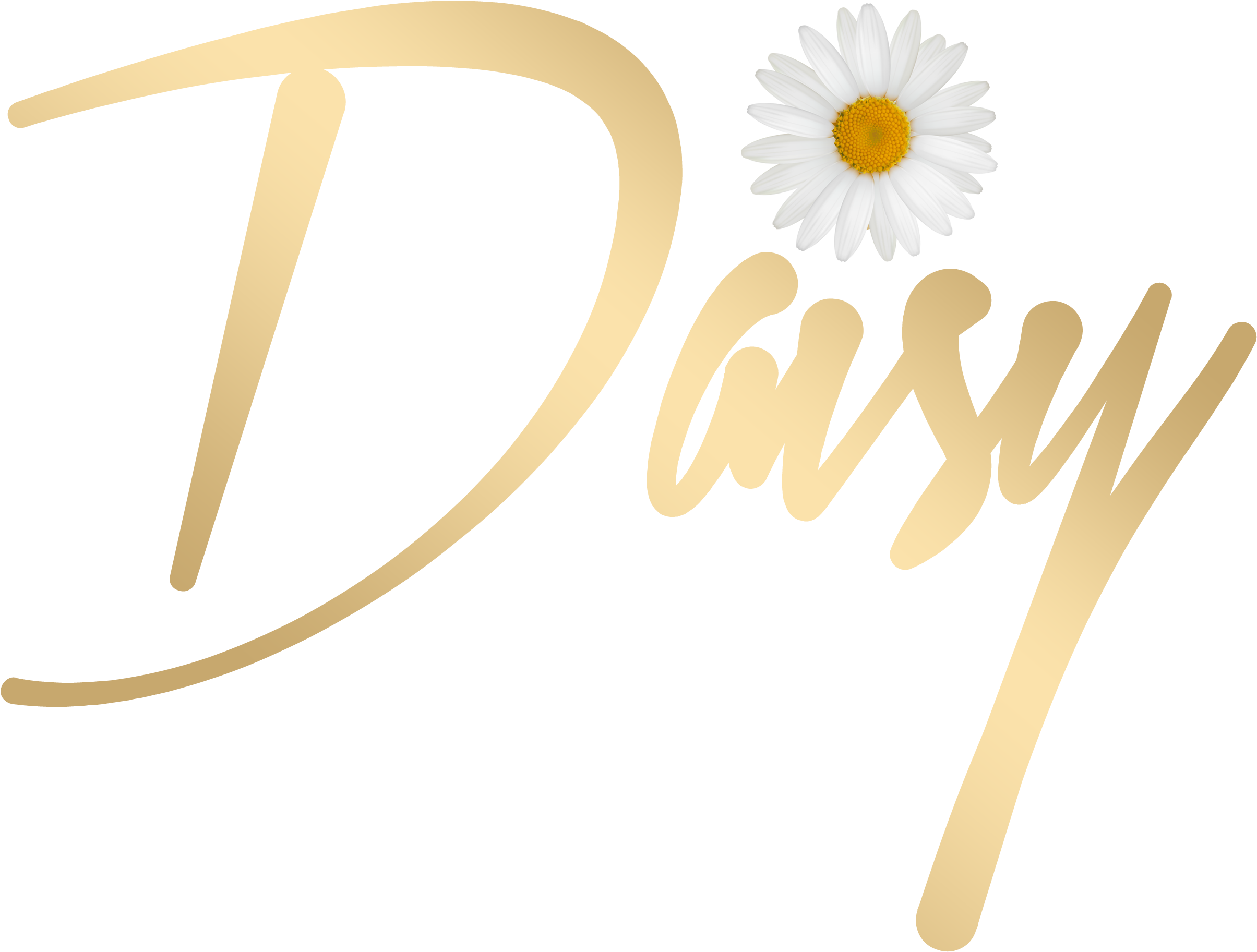 The Unfiltered Opinions Of A Influencer - African Daisy (3508x2480), Png Download