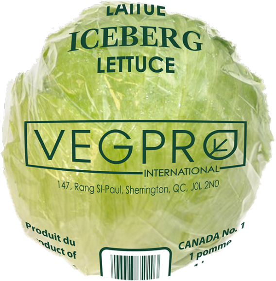 Previous Next - Iceburg Lettuce (597x600), Png Download