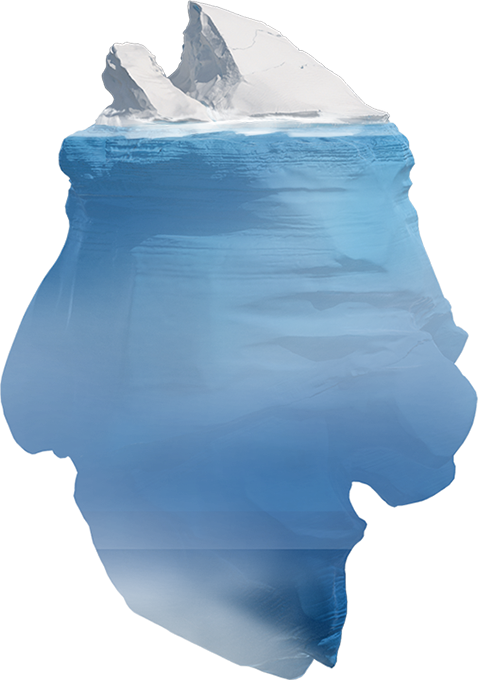 Humpback Whale (478x680), Png Download