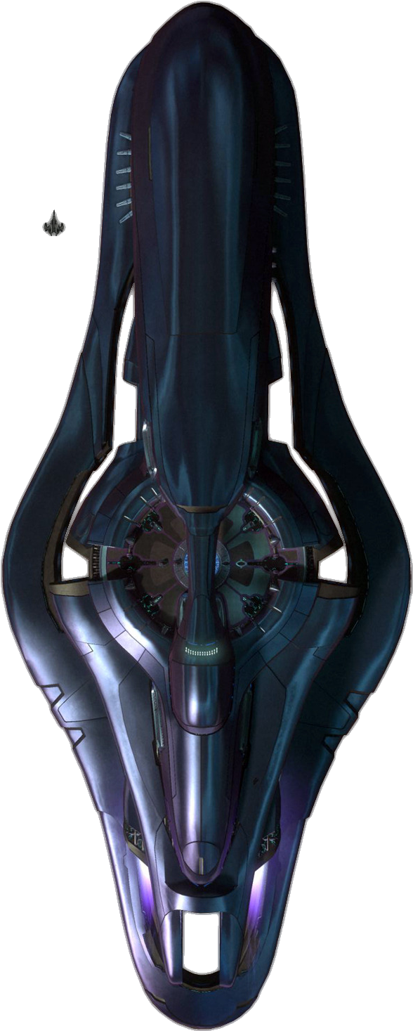 Haloreach - Sabrecorvette - Halo Reach Covenant Corvette (640x1491), Png Download