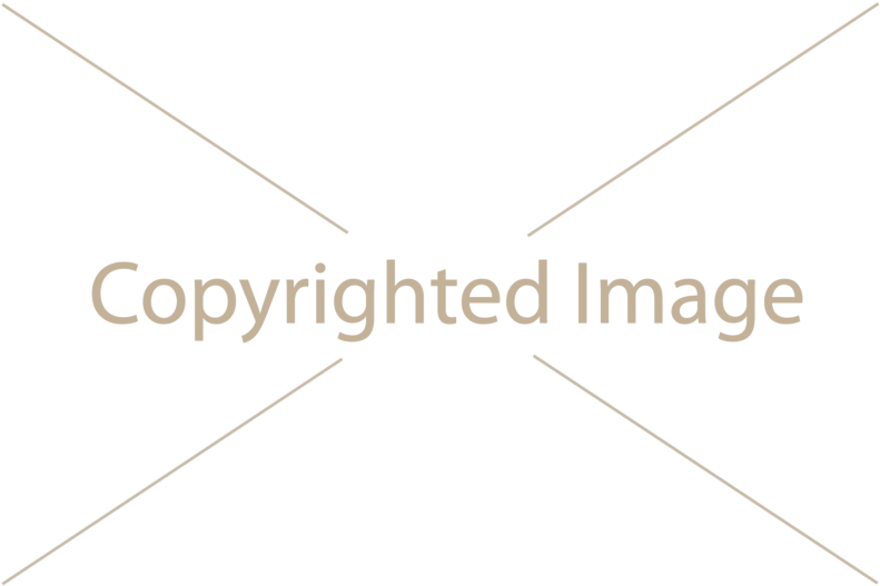 Watermark Для Opencart - Myriad Font (800x534), Png Download
