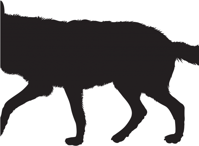 White Wolf Clipart Wolf Silhouette - Wolf Silhouette No Background (640x480), Png Download