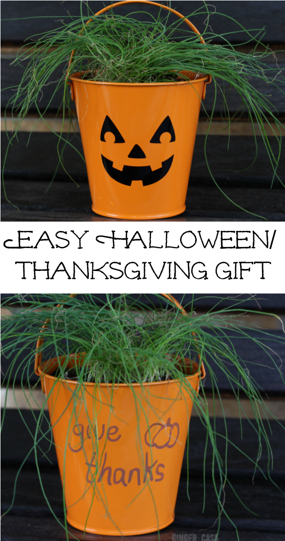 What Is Your Favorite Way To Decorate A Pumpkin - Flowerpot (603x1125), Png Download