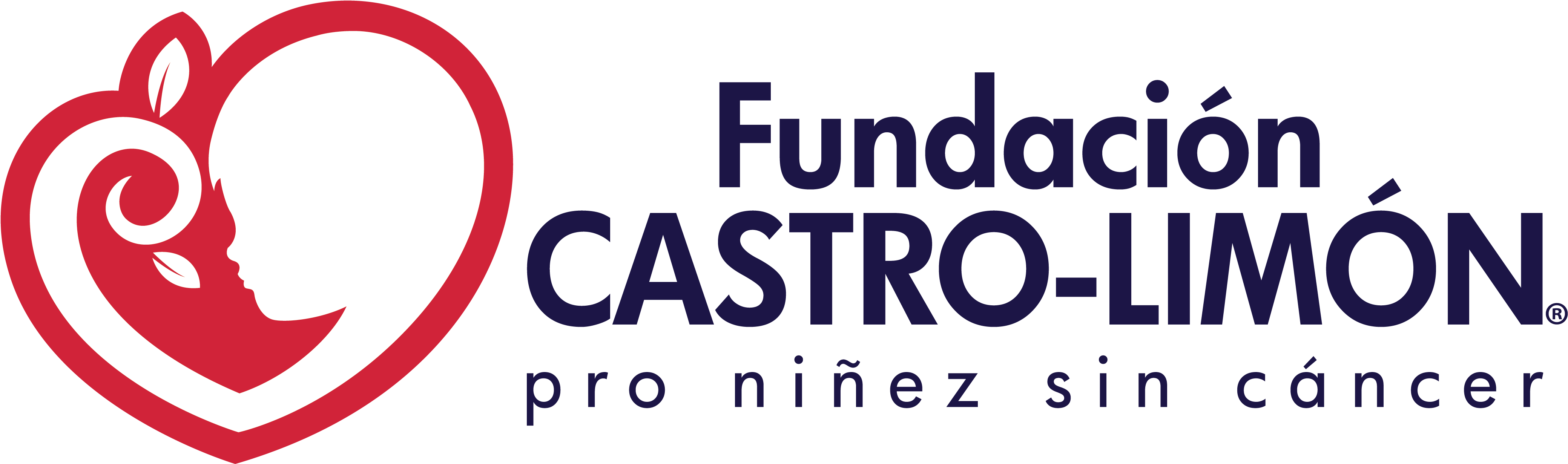 Fundación Castro Limón - Fundacion Castro Limon (4212x1311), Png Download