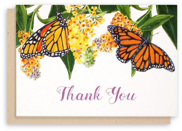 Monarch Butterfly Thank You Cards Butterfly Bush Flowers - Thank You Photo With Butterfly (619x552), Png Download