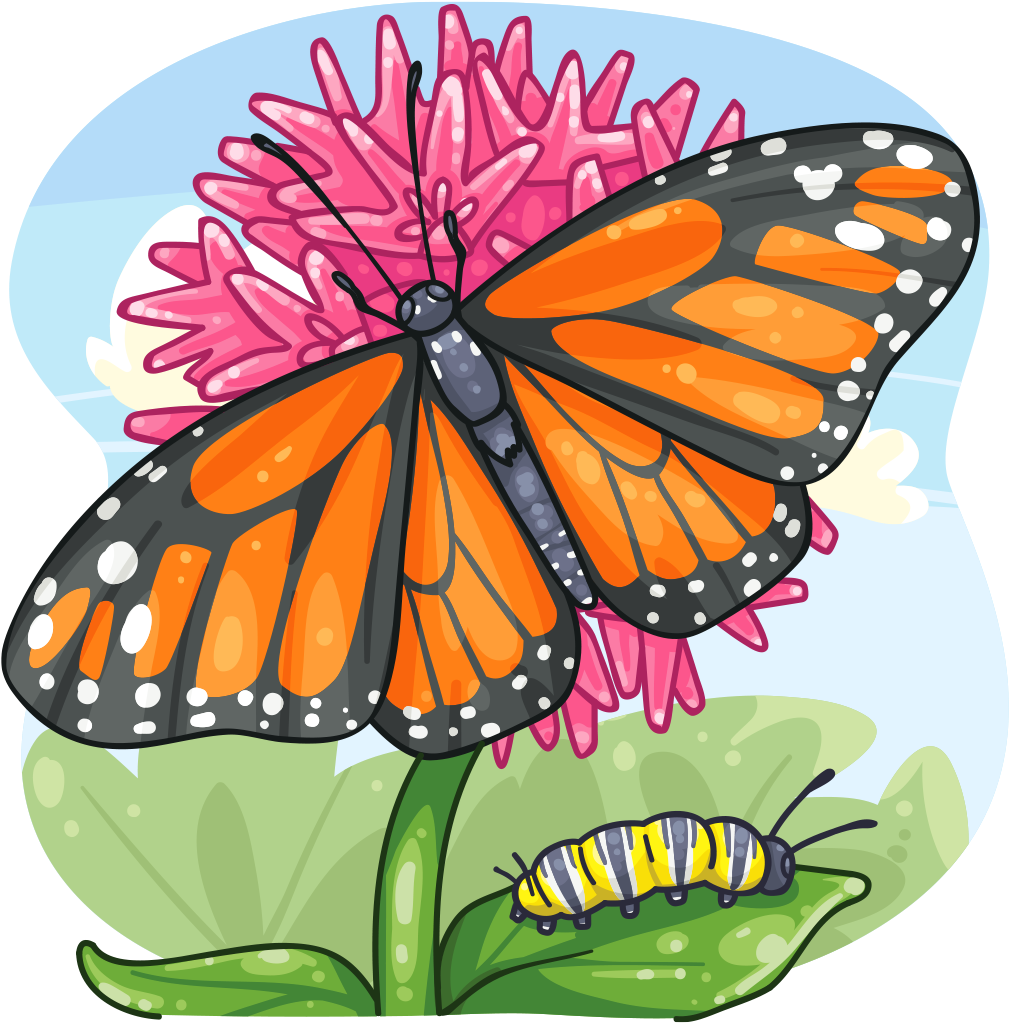 Monarch Butterfly (1024x1024), Png Download