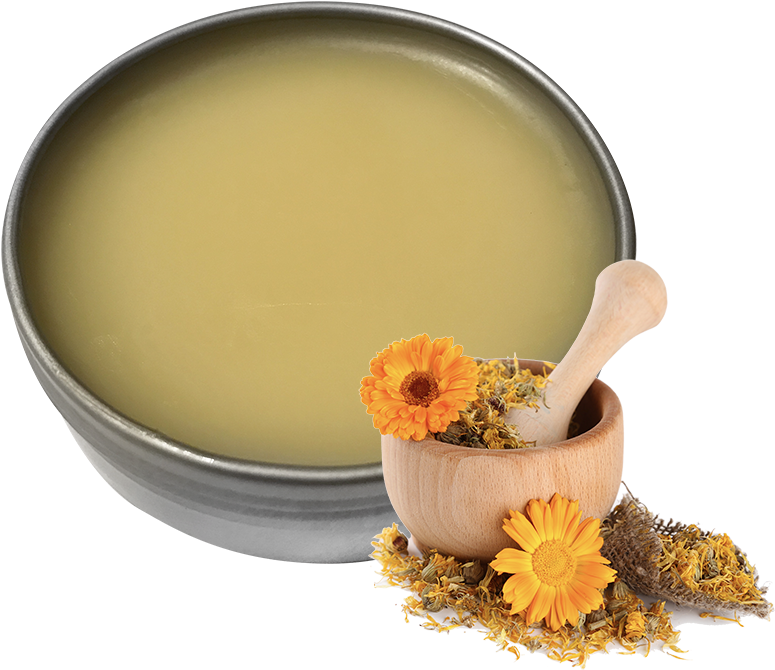 Calendula 2 Oz - Camomile (800x688), Png Download