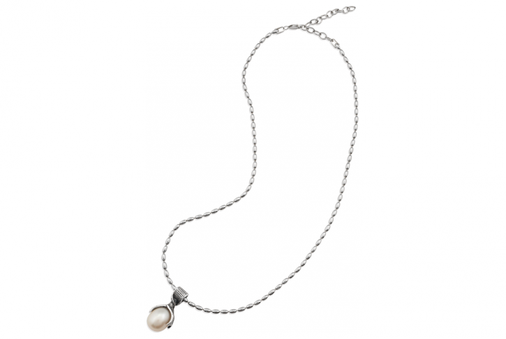 Necklace (725x487), Png Download