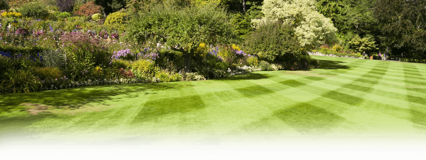 Commercial Lawn Care - North Carolina Landscaping (1453x546), Png Download