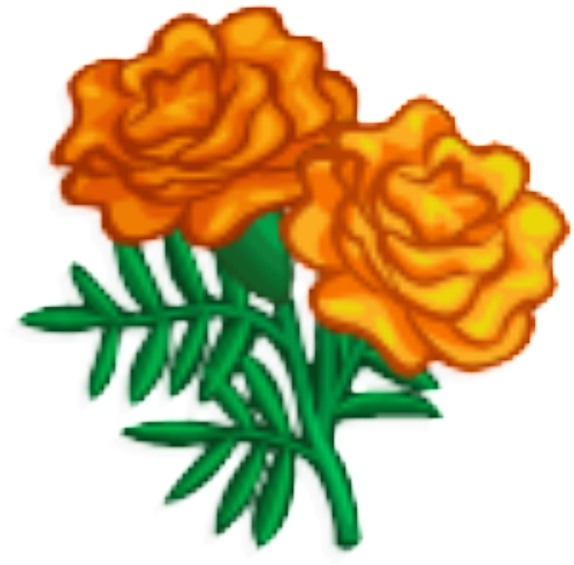 Marigolds Png Transparent - Marigold Clipart (640x640), Png Download