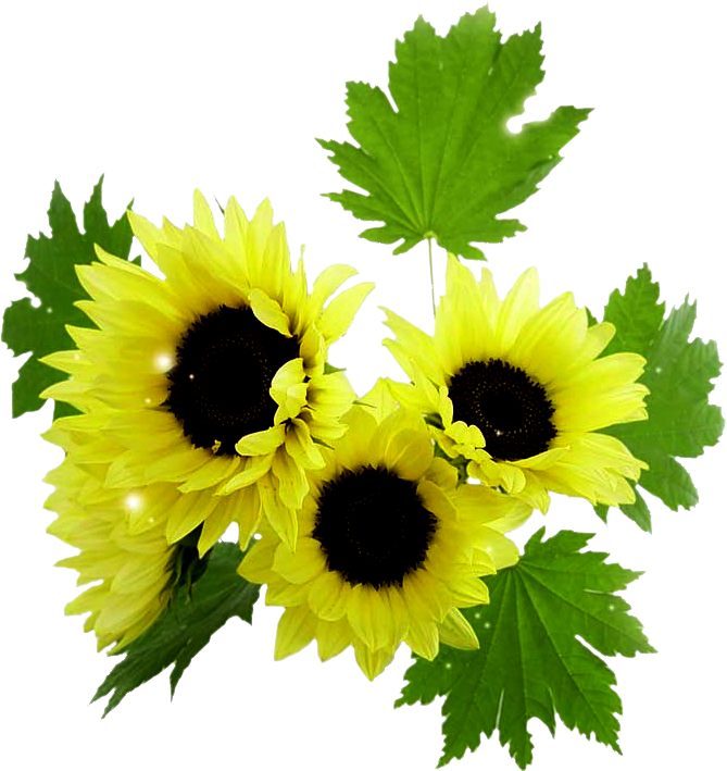 Обсуждение На Liveinternet - Gif (669x709), Png Download