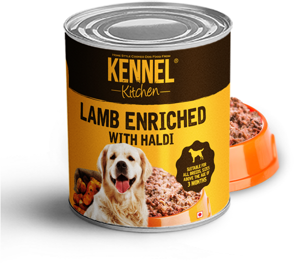 By Life Stage - Dog (600x600), Png Download