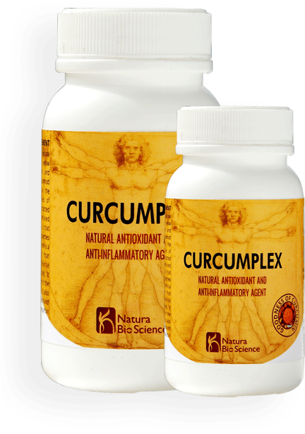 Bee (528x738), Png Download