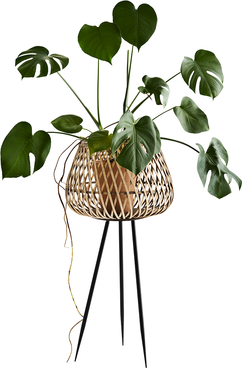 Bamboo Flower Stand - Bamboo (1200x1200), Png Download