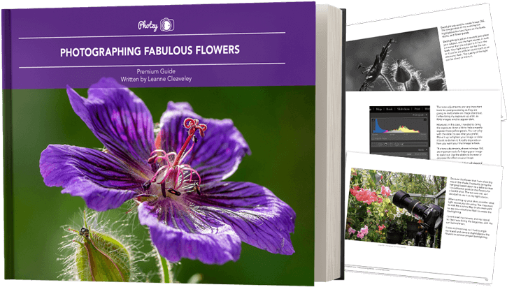 Click Add To Cart Now To Get Your Copy Of Fabulous - Geranium Cinereum (750x413), Png Download