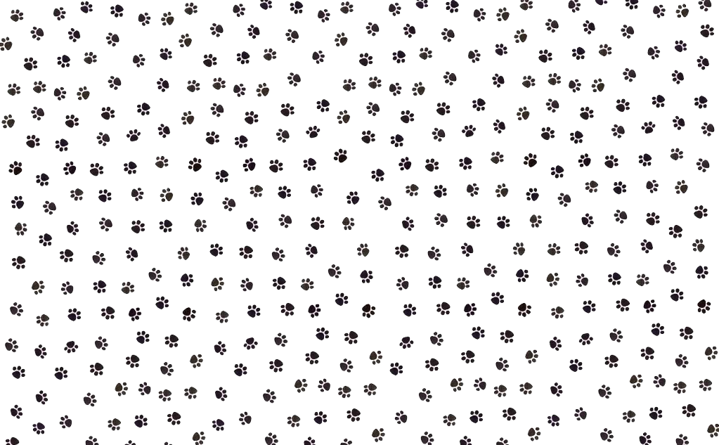 Good Little Dog - Speckled Dot Background (1023x633), Png Download