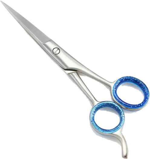 Scissors (570x760), Png Download