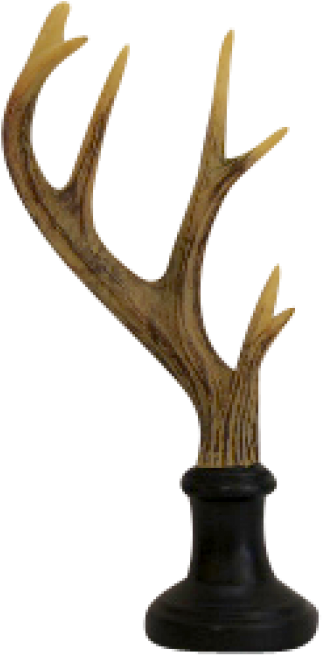 More Views - Antler (800x800), Png Download