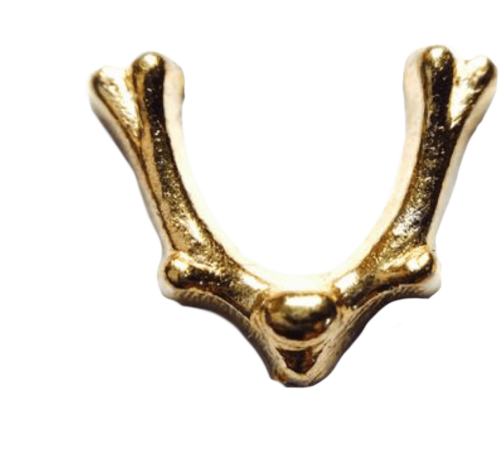 Reindeer (2048x2048), Png Download