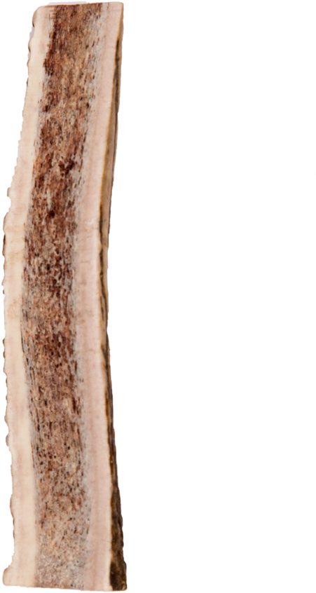 Split Elk Antler - Wood (1024x1024), Png Download