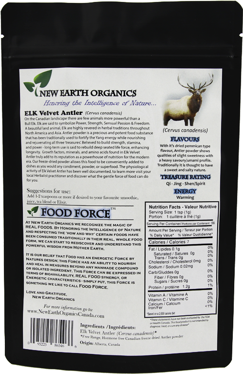 Badger (800x800), Png Download