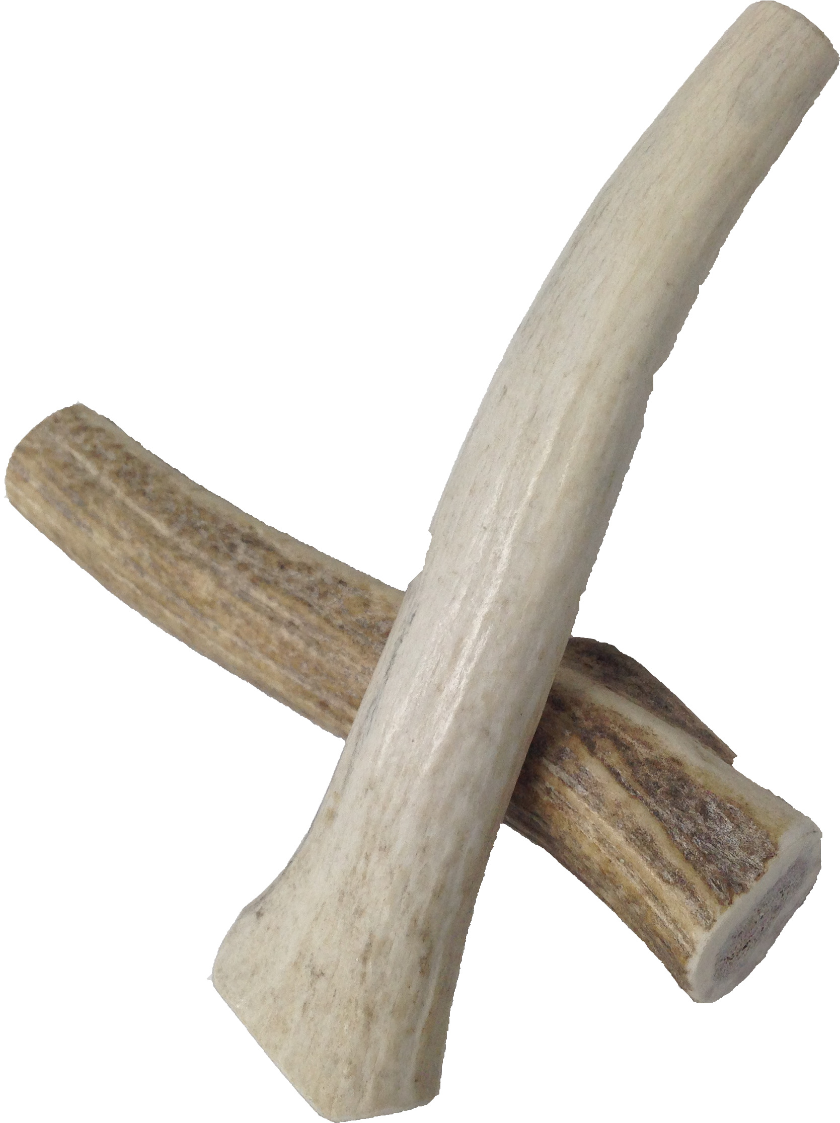 5 Whole Antler - Wood (3264x2448), Png Download