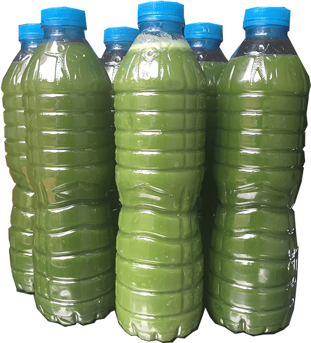 High Performance Immunotherapy Wellness Juice Organic - Plastic Bottle (1000x850), Png Download