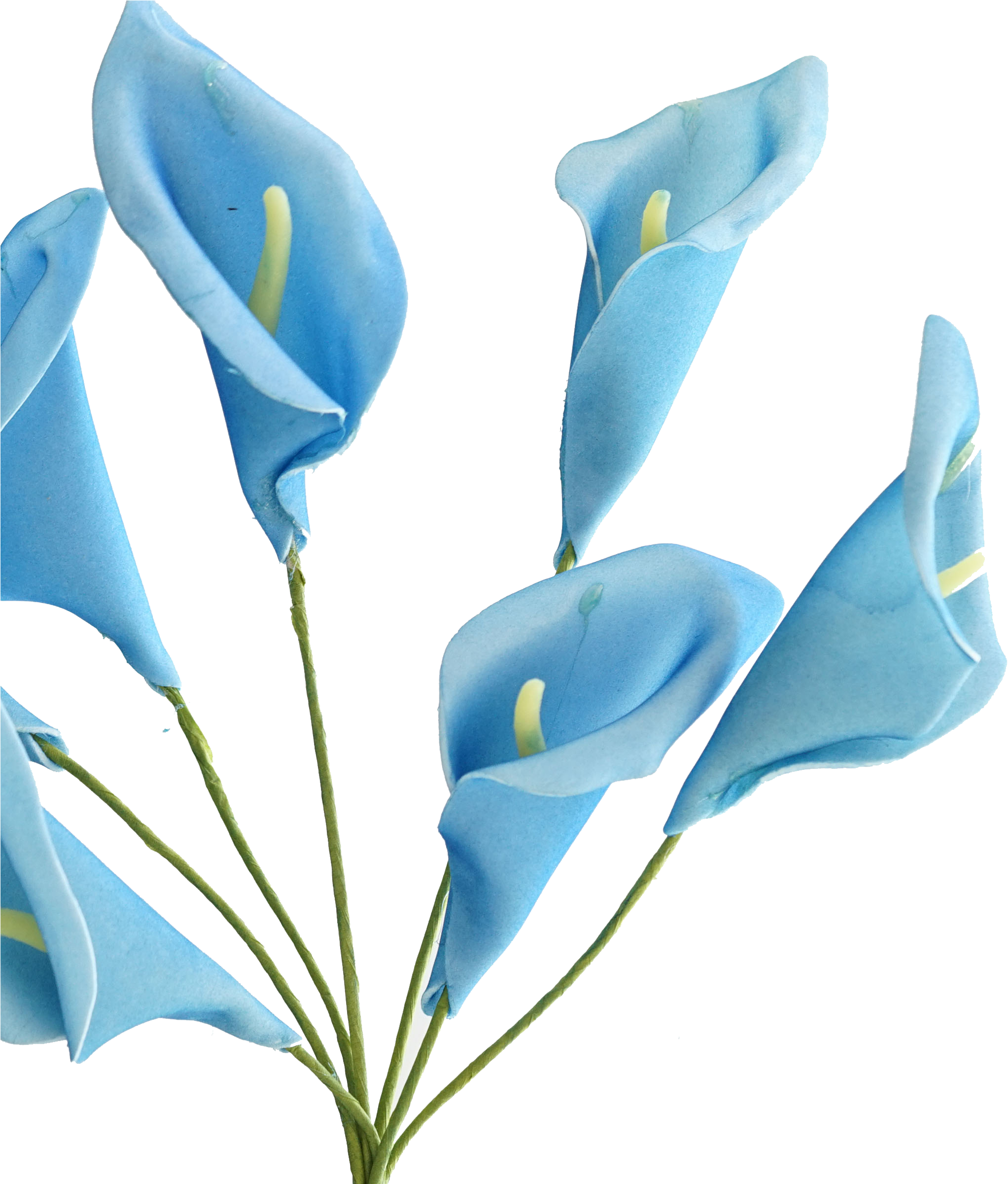 Calla Lily Png Lily Full Size Png Download Seekpng