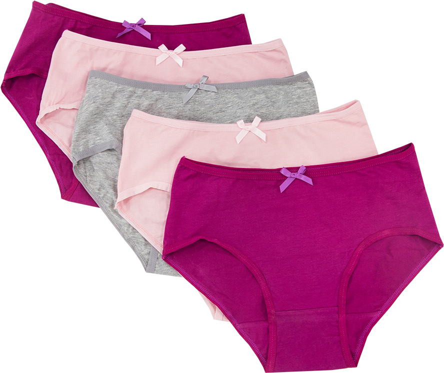 5 Pack Mono Dog Ladies Midis - Panties (1000x1000), Png Download