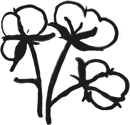 Cotton Clipart Cotton Flower (1000x600), Png Download