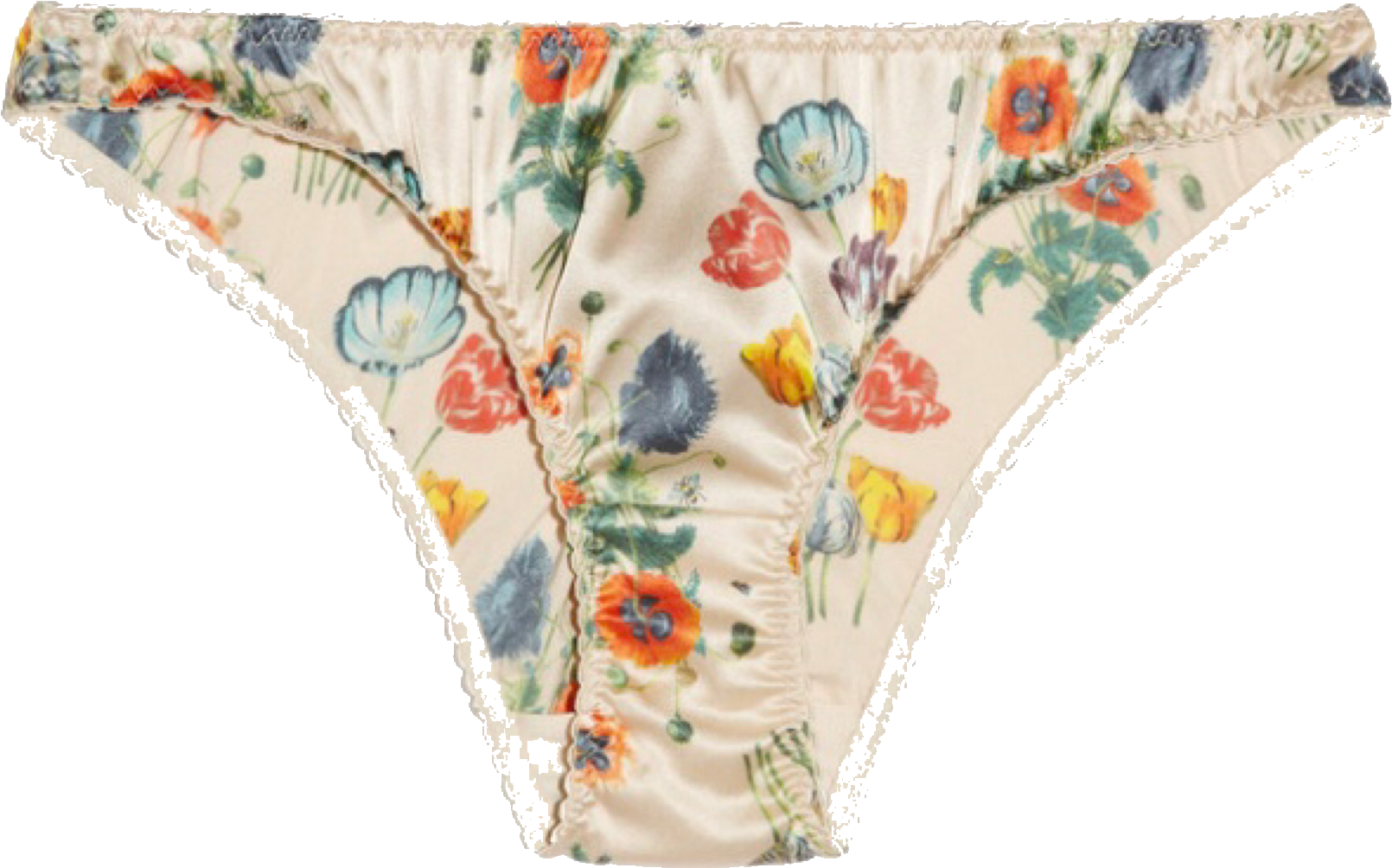 Fallout, Taurus, Short Skirts, Bees, Bathing Suits, - Panties (2048x1172), Png Download