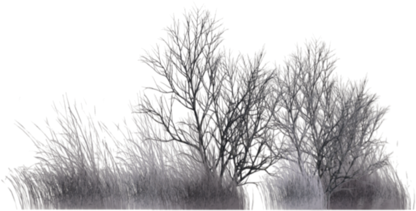 #ftestickers #nature #landscape #trees #branches #silhouette - Monochrome (1024x1024), Png Download