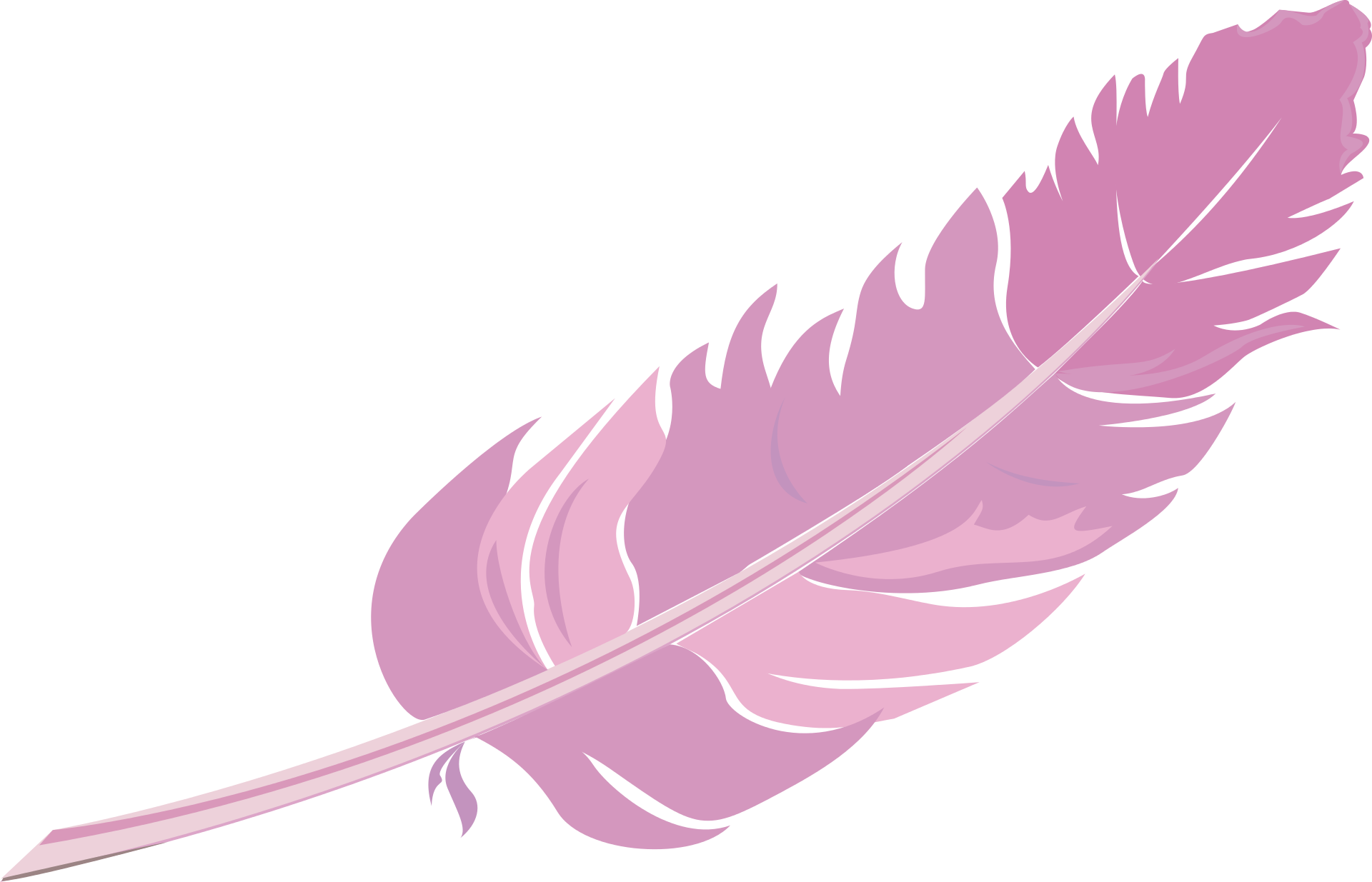 Feather Vector Png - Picsart Sticker Feathers Hd (1920x1235), Png Download
