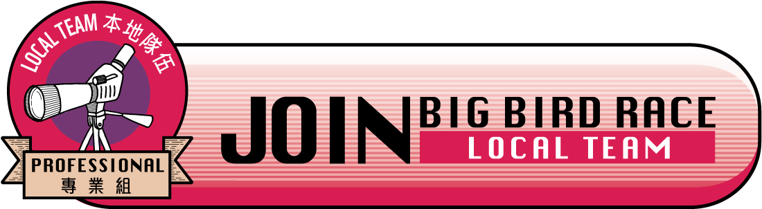 The Big Bird Race - Parallel (1110x304), Png Download