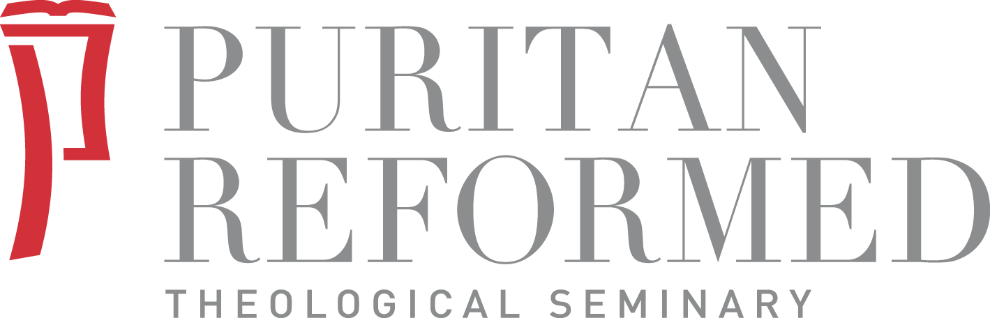 Puritan Reformed Theological Seminary - Something Borrowed Movie Poster (1419x456), Png Download