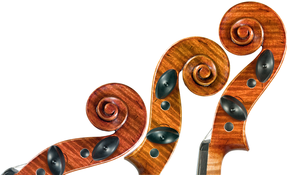 Enjoy Your Celebrations With The Best Trio-mariachi - Classical Singer Website Template (916x571), Png Download