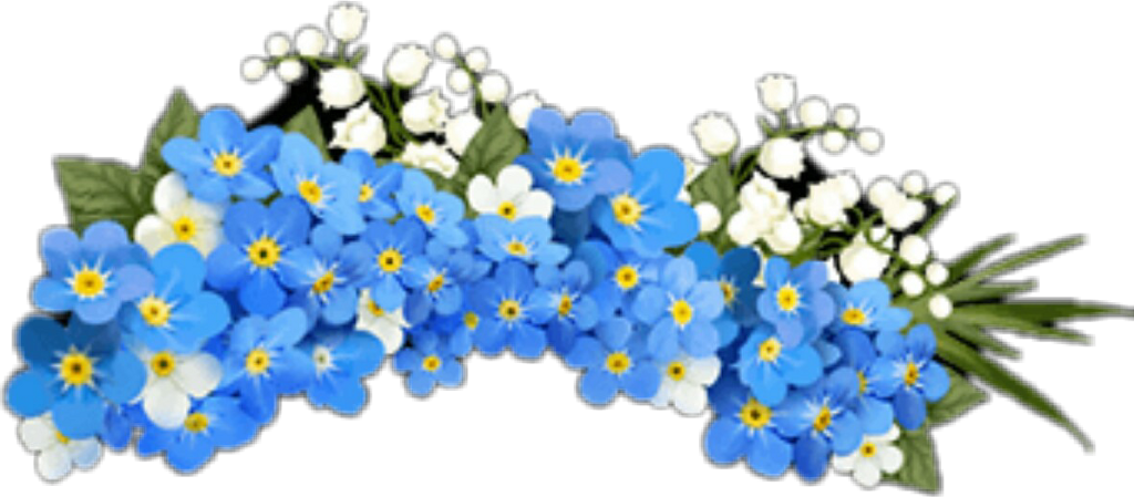 Flores Flowers Flower Crown Flowercrown - Alpine Forget-me-not (1024x449), Png Download