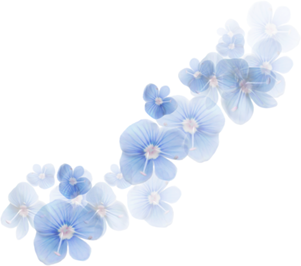 Transparent Blue Flower Transparent Background - Imagenes Bonitas De Color (1024x1024), Png Download