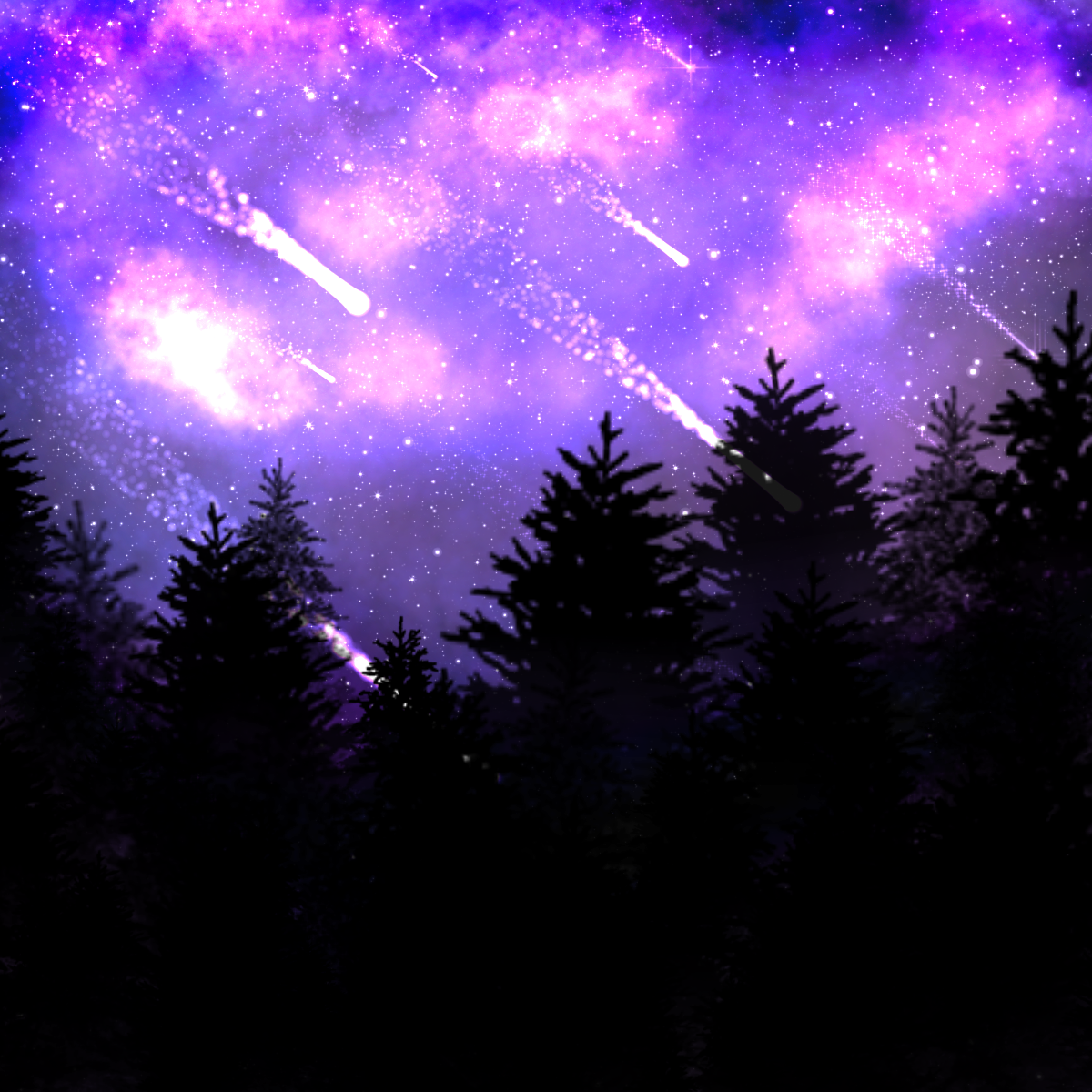 Shortleaf Black Spruce (1200x1200), Png Download