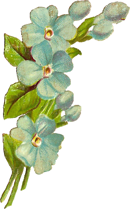 The Shape Lends Itself Perfectly To Embellishing Corners - Flower Vintage Corner Png (527x790), Png Download